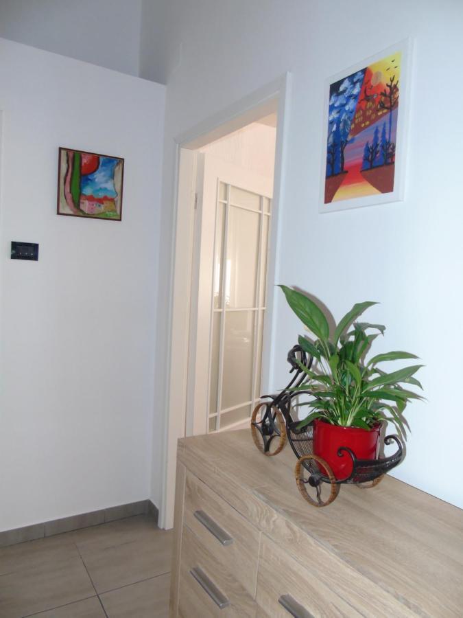 דירות רייקה Apartman Vale מראה חיצוני תמונה